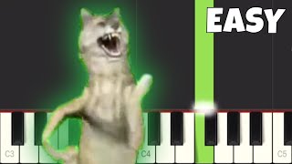 Wolf Dance Song  EASY Piano Tutorial [upl. by Eillac776]