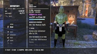 ESO My Current Argonian Arcanist Tank amp DPS [upl. by Placeeda]