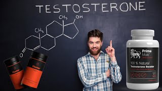 Best Testosterone Booster Supplements For Strength Energy and Muscle Mass [upl. by Matless]