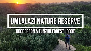 Umlalazi Nature Reserve  Mtunzini Forest Lodge [upl. by Lona534]