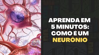 O que é um Neurônio em 5 Minutos Explicado por um Neurocientista [upl. by Searcy]