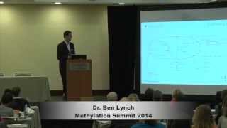 Ben Lynch MTHFR Methylation amp Gut Health [upl. by Devlen871]