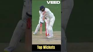 Top Wickets Shorts cricket cricketshorts [upl. by Asenev59]