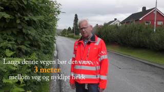 Statens vegvesen  klipp hekk og busker [upl. by Bandler536]