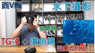 EP94開箱：TG6加廣角鏡效果好嗎？來看看Weefine WLF02實際拍攝效果如何吧！ [upl. by Dickens]