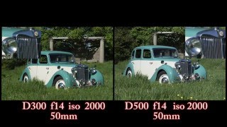 Nikon D300 vs Nikon D500 photo comparison [upl. by Iblok]