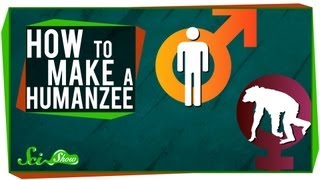 How to Make A Humanzee [upl. by Ybbil]