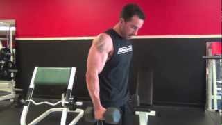 Fonzies Bicep Workout  Exercises you will not see every day [upl. by Damas616]