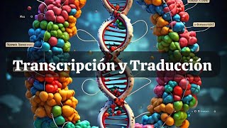 Síntesis de proteínas Transcripción y traducción [upl. by Adrea49]