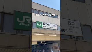 松戸駅近くにある町中華の名店！ここのにんにくガッツリやきにく定食が最高すぎた！千葉グルメjapanesefood [upl. by Ahseal]