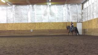 Dressage  Level 2 Test 1 [upl. by Ariajaj781]