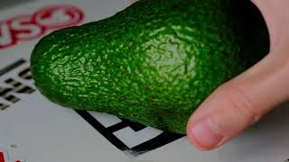 Seme di avocado🥑 Poliembrionale mini video Food Stories [upl. by Coffee133]