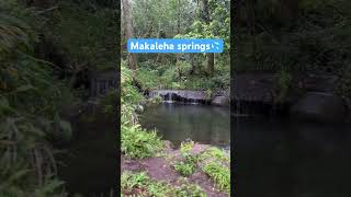 Exploring Makaleha springs with my son named Makaleha meaning to look about in awe and wonder🥰💦 [upl. by Maag746]