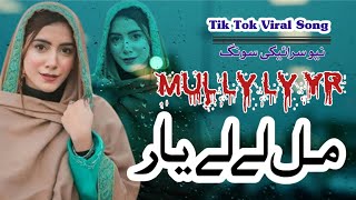 Mul Ley O Yaar  Naveed Khan Sayra Jatti  New Punjabi Song  DS Productiions [upl. by Naes]