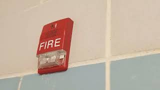 Two High School Fire Alarms In Florence New Jersey [upl. by Dorena]