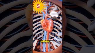 Pacemakers motivation phycology studyadvice facts gk viralshort youtube viralshort [upl. by Agnese]