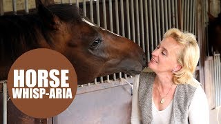 Racehorse trainer sings OPERA to her horses [upl. by Esital]