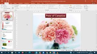 Detailed lecture on carnation [upl. by Pacian918]