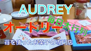 【バレンタインデー】大行列お菓子毎日大行列の可愛いお菓子「オードリー」AUDREY・大丸札幌期間限定 [upl. by Trenton192]