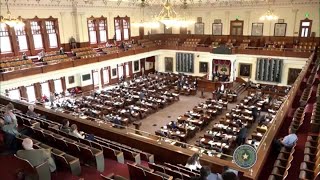 State of Texas Divide over trans health care fuels heated House runoff [upl. by Weinman808]