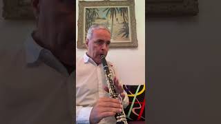 Rondo Divertimento Mozart Clarinet B♭ Selmer lygeros music clarinet shorts learn instrument [upl. by Martguerita]