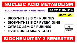 Unit 4 Biosynthesis of Purine and Pyrimidine nucleotides  Gout  Part 2  Biochemistry 2nd sem [upl. by Joye]