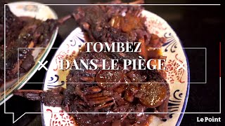 Tombez dans le Piège 158  la cuisson du lièvre à la royale [upl. by Nihi732]