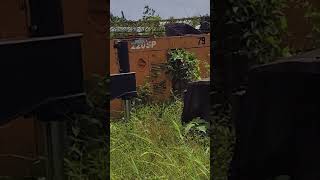 Generators Pull Out Reconditioning and Disposal armandelectrical SsDios shortsvideo [upl. by Airbmat]