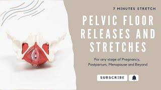 Pelvic Floor Releases and Stretches [upl. by Atinid352]