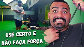 COMO USAR O ENFORCADORGUIA UNIFICADA te mostro o treino e técnica que irão RESPEITAR O TEU CÃO [upl. by Ydasahc909]