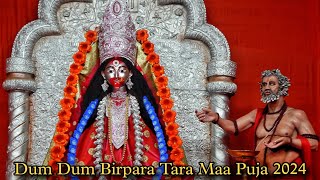 Dum Dum Birpara Tara Maa Puja 2024  Poush Kali Puja 2024  Kolkata [upl. by Notak]