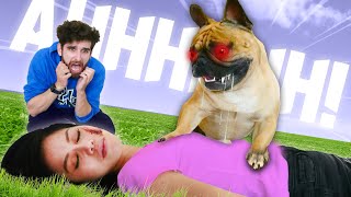 IS MY DOG EVIL Rescuing YouTuber Daniels Dog Douglas After Trapped for 3 Years [upl. by Raviv]