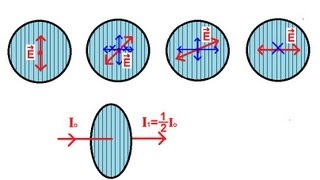 Physics 53 Polarization 1 of 5 Introduction [upl. by Sacksen]