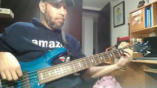 Panteón Rococó  Vendedora de caricias  Bass cover [upl. by Ahse]