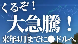 【第574話】くるぞ！大急騰！！来年4月までに●ドルへ！ [upl. by Kroo]