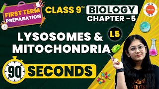 Lysosomes amp Mitochondria One Shot in 90 Second  The Fundamental Unit of Life NCERT Class 9 Biology [upl. by Leonora]