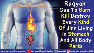 Al Quran Ruqyah Dua To Burn Kill Destroy Every Kind Of Jinn Living In Stomach And All Body Parts [upl. by Tuesday]