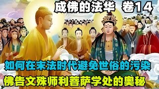 不愧是经中之王《法华经》14卷安乐品，如何在末法时代避免世俗的污染，保持修行的纯洁与专注！ [upl. by Acyssej]