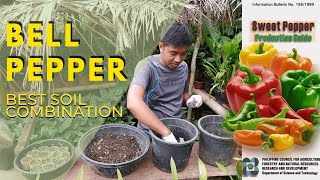 Best Soil Combination sa Pagtatanim ng Bell Pepper sa Container  Atsal Potting Mix  Easy [upl. by Hanonew]