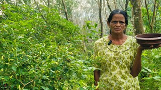 വെള്ള കാന്താരി കൊണ്ടാട്ടം ഉണ്ടാക്കിയല്ലോ നമുക്ക് kondattam kanthari locallanguage kasaragod [upl. by Ientruoc]