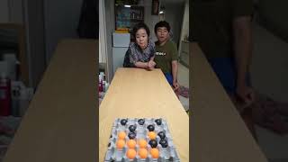 Egg Pong Game The Ultimate Ping Pong Challenge [upl. by Immat]