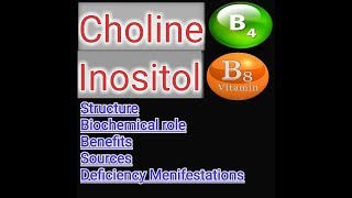 CholineB4 and InositolB8  Vitamin B4 amp B8 Lecture [upl. by Prent]