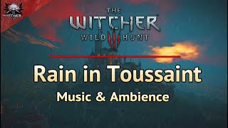 The Witcher 3  Rain in Toussaint  Relaxing and Emotional Witcher Music  Thunderstorm soundsstudy [upl. by Resarf]