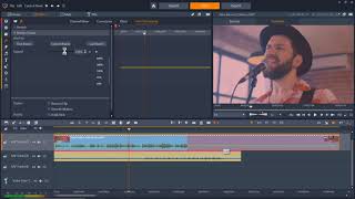 An Overview of the Pinnacle Studio Audio Editor [upl. by Ylenats416]