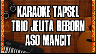 KARAOKE TAPSEL ASO MANCIT  TRIO JELITA REBORN [upl. by Rosita]