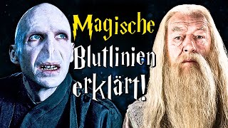 Magische Blutlinien in Harry Potter erklärt  Harry Potter Wissen [upl. by Gregorius]