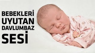 Davlumbaz Sesi  Bebekler İçin Uyku Desteği [upl. by Zoilla]