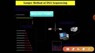 SANGER METHOD OF DNA SEQUENCING [upl. by Tchao]