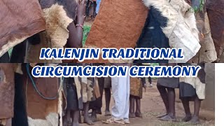 KALENJIN TRADITIONAL CIRCUMCISION CEREMONY IN KENYATUMIN 2023 [upl. by Wolliw]