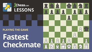 The Fastest Checkmates in Chess [upl. by Jarvey]